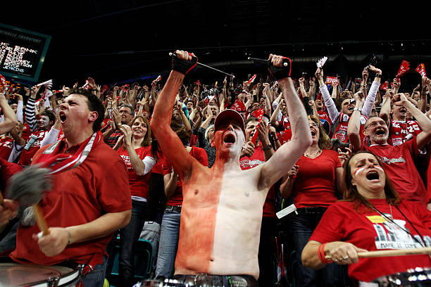 奇总能迅速 奇总能迅速